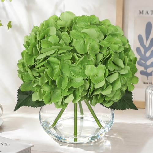 Real Touch Hydrangea with Glass Vase Green Full Latex Hydrangeas Artificial Flowers in Vase Lifelike Bouquets