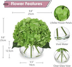 Real Touch Hydrangea with Glass Vase Green Full Latex Hydrangeas Artificial Flowers in Vase Lifelike Bouquets, alternate view