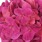 Real Touch Hydrangea with Glass Vase Rose Pink Full Latex Hydrangeas Artificial Flowers in Vase Lifelike, alternate view 2