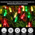 Red Green Warm Christmas Mini Lights, 32.5FT 100 LED Clear Bulbs String Lights with 16 Light Modes, Fairy Lights, alternate
