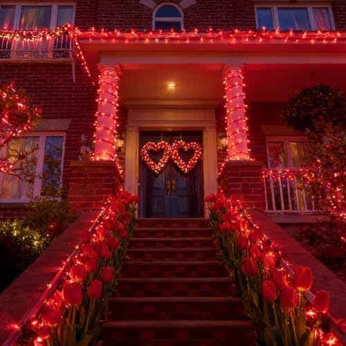 Red Valentines Decor Lights, 32.5FT 100 LED Valentine's Day String Lights Outdoor Indoor, 16 Lighting Mode Plug, alternate