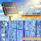 Solar Fairy Lights, 2-Pack Total 80FT 240LED String Lights, White in White, alternate view 2