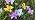 Solar Garden Lights Outdoor 4 Pack Lily Lights with Butterflies, Waterproof, alternate view 7