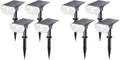 Solar Lights Outdoor Waterproof Landscape Spotlight Daylight 8 Pack
