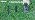 Solar Spot Lights Outdoor, Super Bright Focused Beam Halloween Spotlights, alternate view 7