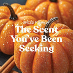Spiced Pumpkin, Fall Scented Candle, 22oz Large Jar with up to 150 Hour Burn Time, Giftable (Pack of 4), alternate view 2