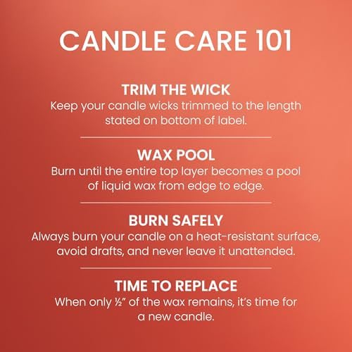 Spiced Pumpkin, Fall Scented Candle, 22oz Large Jar with up to 150 Hour Burn Time, Giftable (Pack of 4), alternate view 5