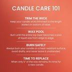 Spiced Pumpkin, Fall Scented Candle, 22oz Large Jar with up to 150 Hour Burn Time, Giftable (Pack of 4), alternate view 5