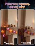 Spider String Lights, 8.5FT 10 LED Purple & Orange Plug-In Lights, alternate view 5