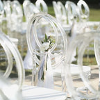 Stackable Clear Acrylic Phoenix Chiavari Ghost Chair, Transparent Resin Armless Oval Back Chair
