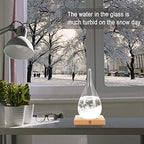 Storm Glass Weather Predictor, Christmas Snow Globe Storm Glass Barometer Weather Predictor, Home and Office, alternate view