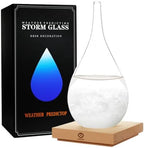 Storm Glass Weather Predictor, Christmas Snow Globe Storm Glass Barometer Weather Predictor, Home and Office