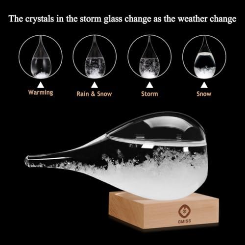 Storm Glass Weather Predictor, Christmas Snow Globe Storm Glass Barometer Weather Predictor, Home and Office, alternate view