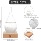 Storm Glass Weather Predictor, Christmas Snow Globe Storm Glass Barometer Weather Predictor, Home and Office, alternate view