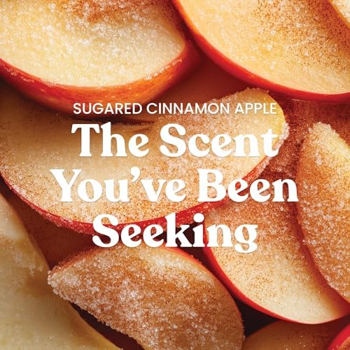 Sugared Cinnamon Apple, Scented Candle, 22oz Large Jar with up to 150 Hour Burn Time, Giftable (Pack of 4), alternate view 2