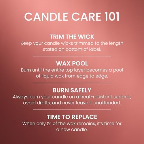 Sugared Cinnamon Apple, Scented Candle, 22oz Large Jar with up to 150 Hour Burn Time, Giftable (Pack of 4), alternate view 5