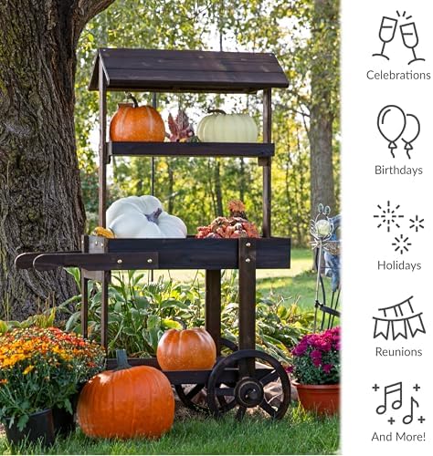 Sunnydaze Flower Cart Display Stand with Wheels, Pine Wood, 49” H, Brown in Brown, alternate view 2