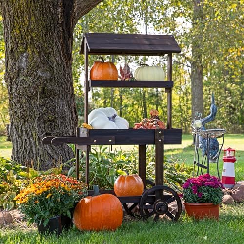 Sunnydaze Flower Cart Display Stand with Wheels, Pine Wood, 49” H, Brown in Brown, alternate view 6