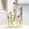 Test Tube Vase for Flowers, Glass Vase with Metal Stand Racks Hydroponic Test Tube Vase Set of 5, Gold Hinged