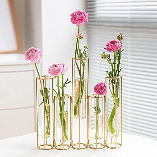 Test Tube Vase for Flowers, Glass Vase with Metal Stand Racks Hydroponic Test Tube Vase Set of 5, Gold Hinged
