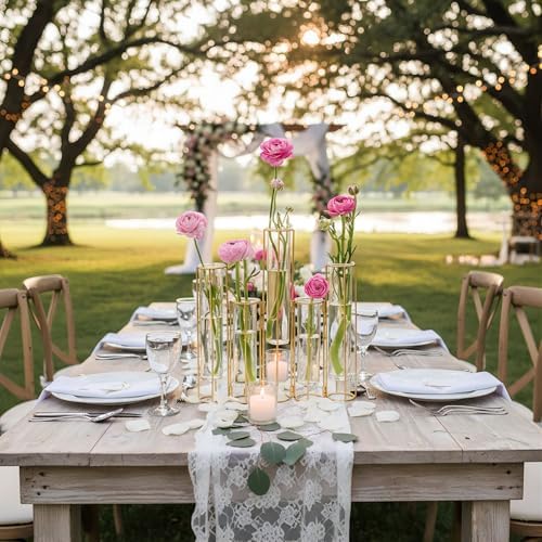 Test Tube Vase for Flowers, Glass Vase with Metal Stand Racks Hydroponic Test Tube Vase Set of 5, Gold Hinged, alternate view