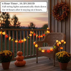 Thanksgiving String Lights,10FT 20LED Fall Decor Lights Battery Operated Waterproof Hang Autumn Fairy Light for, alternate