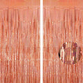 Tinsel Foil Fringe Curtain, 2 Pack Metallic Tinsel Curtain Backdrop for Party Decorations, Large Glitter