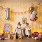 USB Plug in Curtain Lights 200 LED with 8 Modes, 6.5ftx6.5ft, alternate view 7