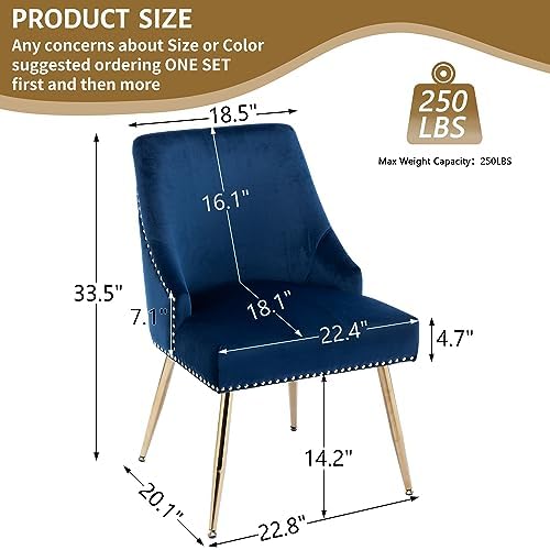 Velvet Dining Room Chairs Set of 2 Nailhead Back with Gold Legs, Blue in Blue, alternate view 3