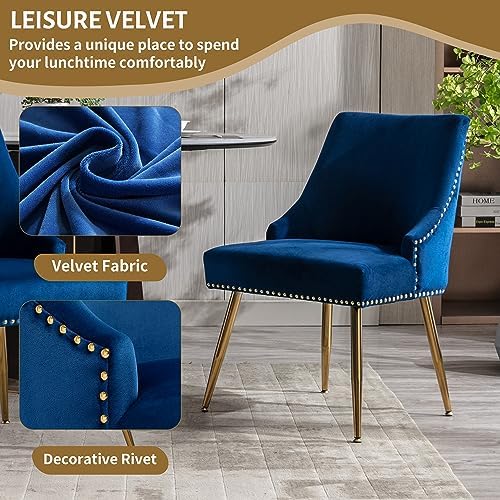 Velvet Dining Room Chairs Set of 2 Nailhead Back with Gold Legs, Blue in Blue, alternate view 4