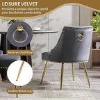 Velvet Dining Room Chairs Set of 4 Nailhead Back with Gold Legs, Gray in Gray, alternate view 5