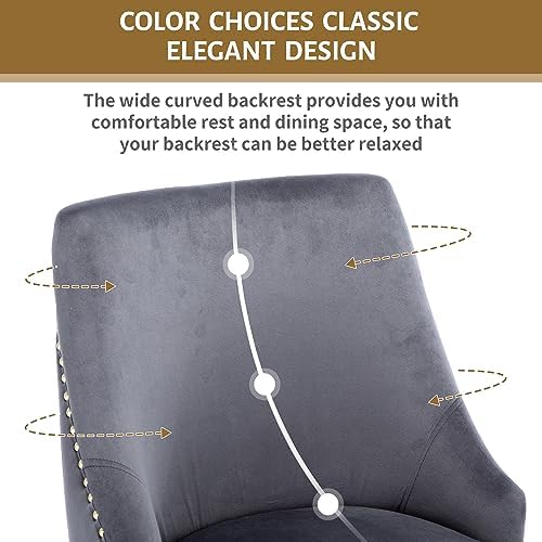 Velvet Dining Room Chairs Set of 4 Nailhead Back with Gold Legs, Gray in Gray, alternate view 7