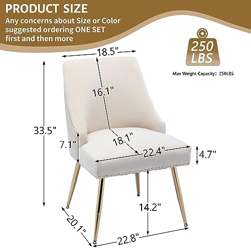 Velvet Dining Room Chairs Set of 6 Nailhead Back with Gold Legs, Beige in Beige, alternate view 3