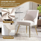 Velvet Dining Room Chairs Set of 6 Nailhead Back with Gold Legs, Beige in Beige, alternate view 4