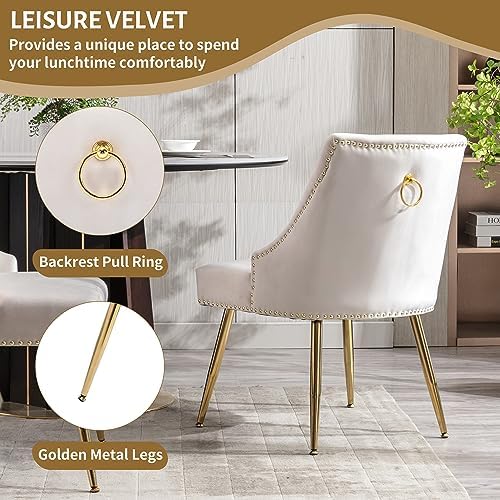 Velvet Dining Room Chairs Set of 6 Nailhead Back with Gold Legs, Beige in Beige, alternate view 6