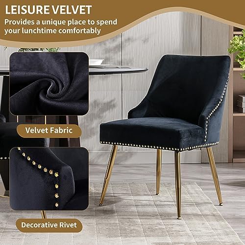 Velvet Dining Room Chairs Set of 6 Nailhead Back with Gold Legs, Black in Black, alternate view 4