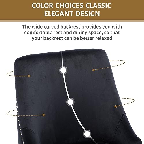 Velvet Dining Room Chairs Set of 6 Nailhead Back with Gold Legs, Black in Black, alternate view 7