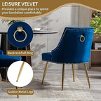 Velvet Dining Room Chairs Set of 6 Nailhead Back with Gold Legs, Blue in Blue, alternate view 5