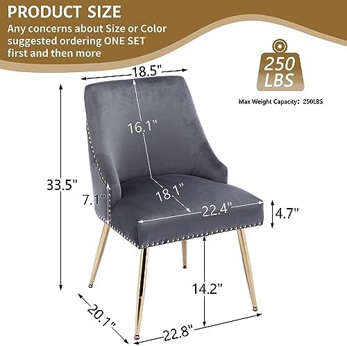 Velvet Dining Room Chairs Set of 6 Nailhead Back with Gold Legs, Gray in Gray, alternate view 3
