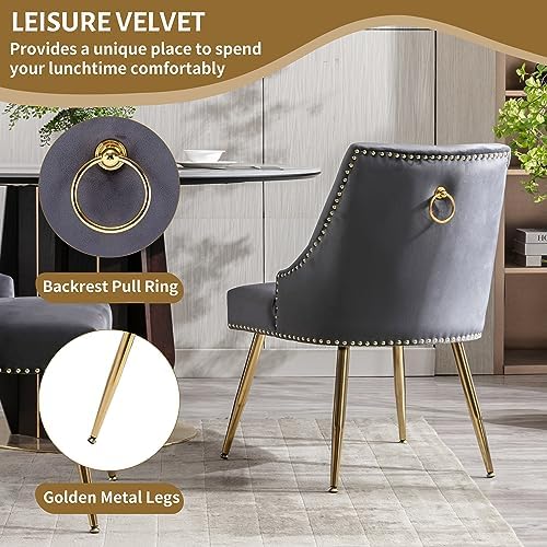 Velvet Dining Room Chairs Set of 6 Nailhead Back with Gold Legs, Gray in Gray, alternate view 5