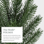 Vermont White Spruce Christmas Wreath - 26" Majestic East Coast Front Door Wreath with True Needle Foliage &, alternate view