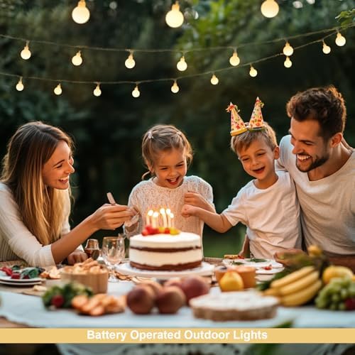 Warm White 100 LED Globe Battery Operated Christmas Lights Indoor, alternate view 5