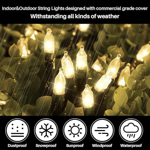 Warm White Christmas Mini Lights, 32.5FT 100 LED String Lights with 16 Light Modes, Fairy Lights Plug in for, alternate view