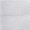 White Brick Wall Backdrop White Brick Photo Backdrop Thin Vinyl Photography Background Studio Prop 10931