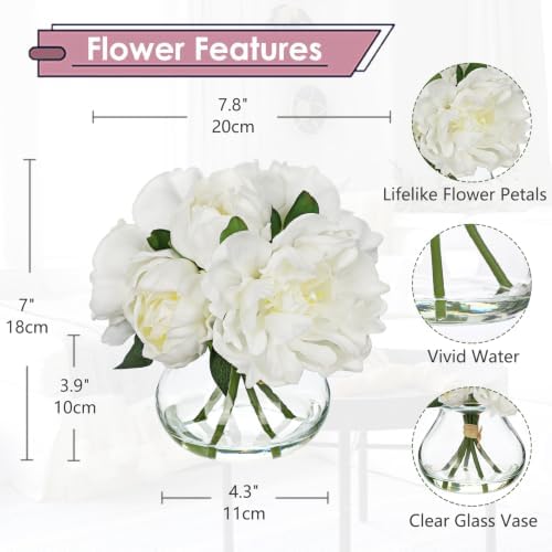 White Peonies Artificial Flowers with Glass Vase Medium 7.8inch Faux Peonies Look Real Peony Fake Flowers Silk, alternate