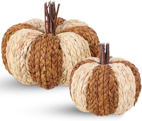 Wicker Rattan Pumpkins Neutral Fall Decor for Table Centerpiece