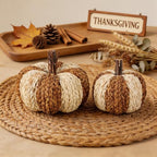 Wicker Rattan Pumpkins Neutral Fall Decor for Table Centerpiece, alternate view 2