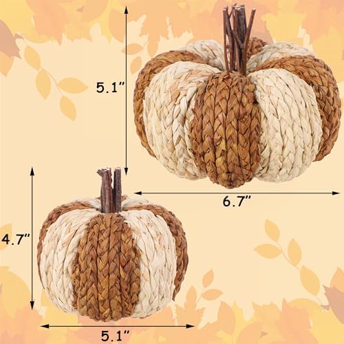 Wicker Rattan Pumpkins Neutral Fall Decor for Table Centerpiece, alternate view 3
