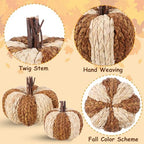 Wicker Rattan Pumpkins Neutral Fall Decor for Table Centerpiece, alternate view 4