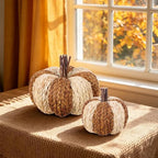 Wicker Rattan Pumpkins Neutral Fall Decor for Table Centerpiece, alternate view 6